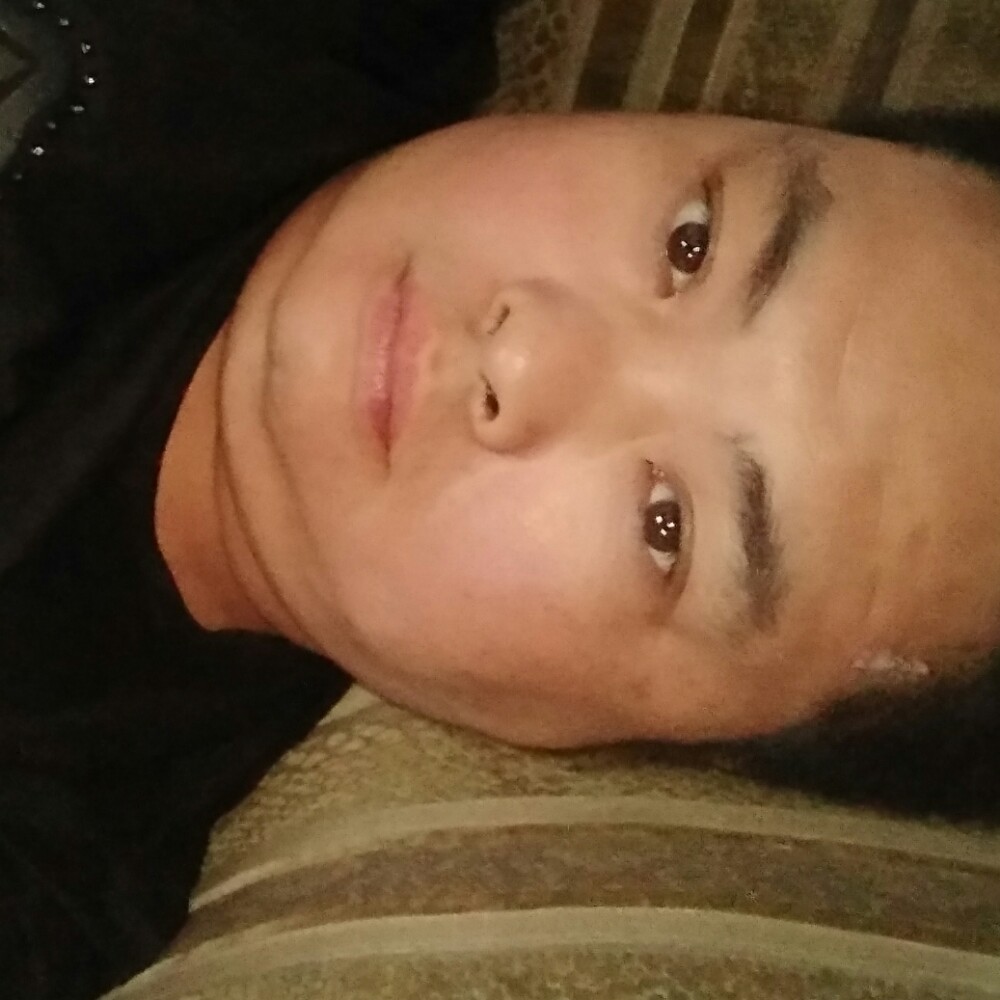 斑马神勇的照片