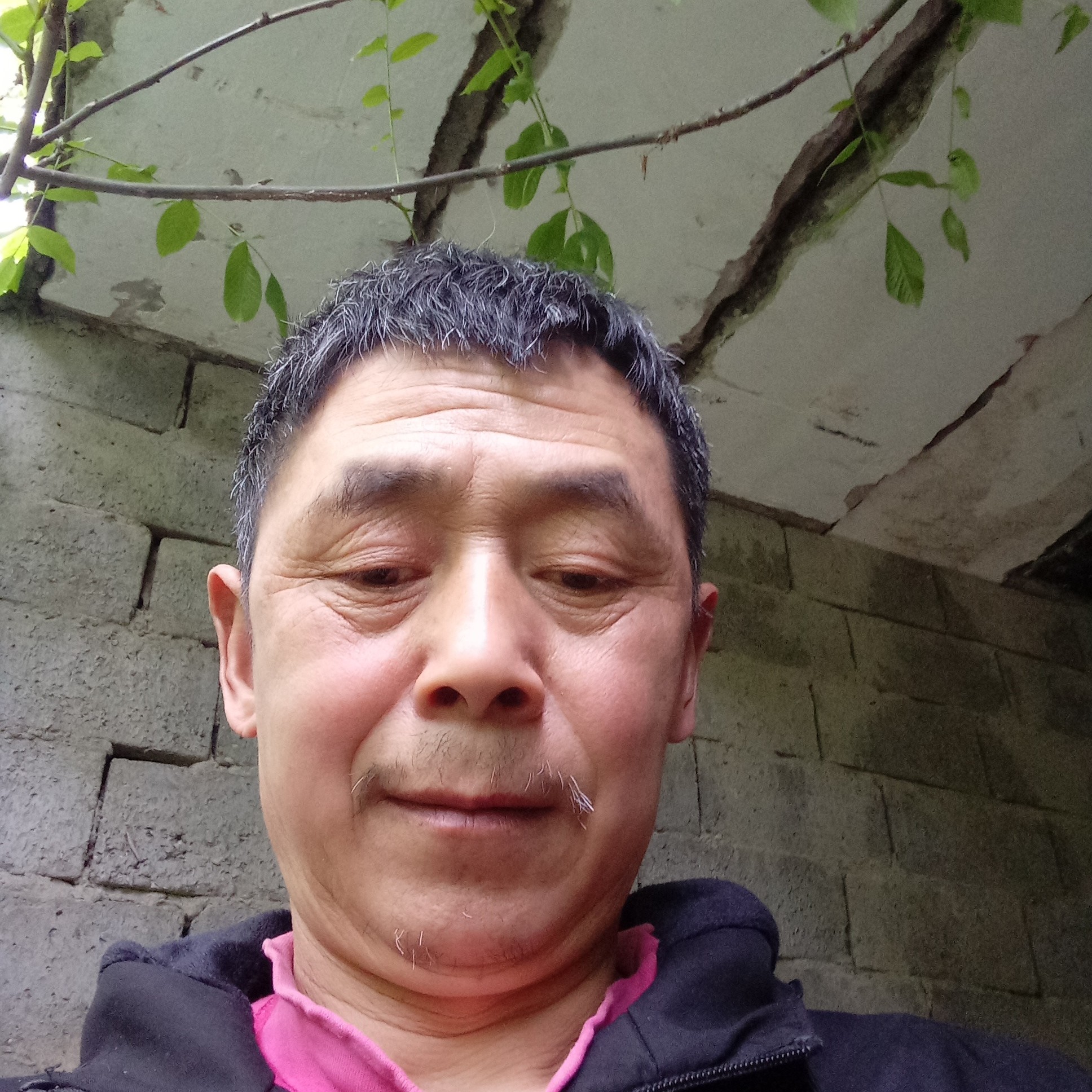 会员371538302的照片