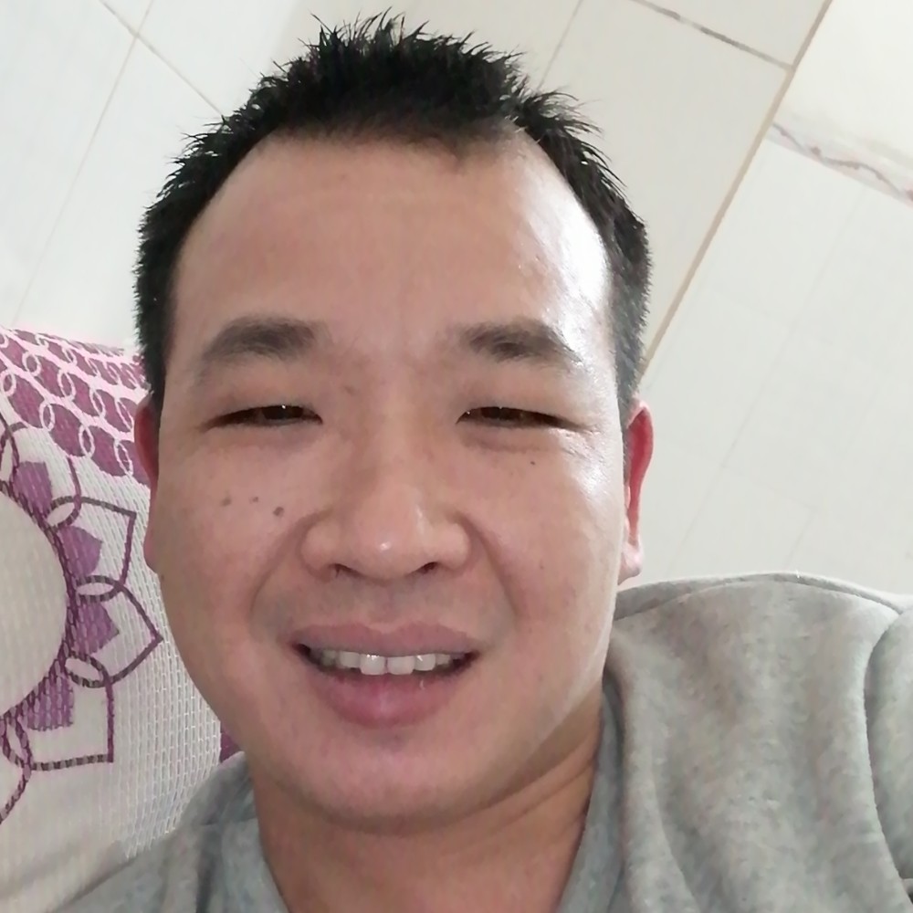 树叶爱恋透彻的照片
