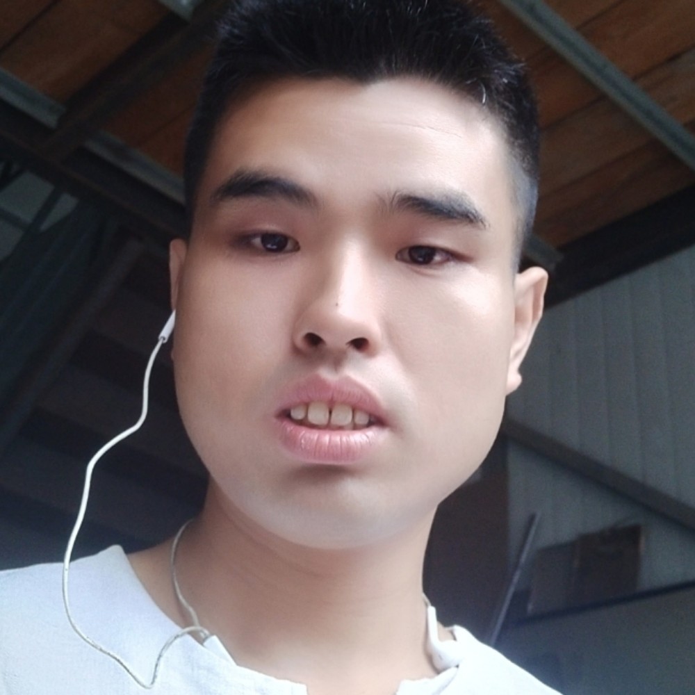 啄木鸟熊的照片