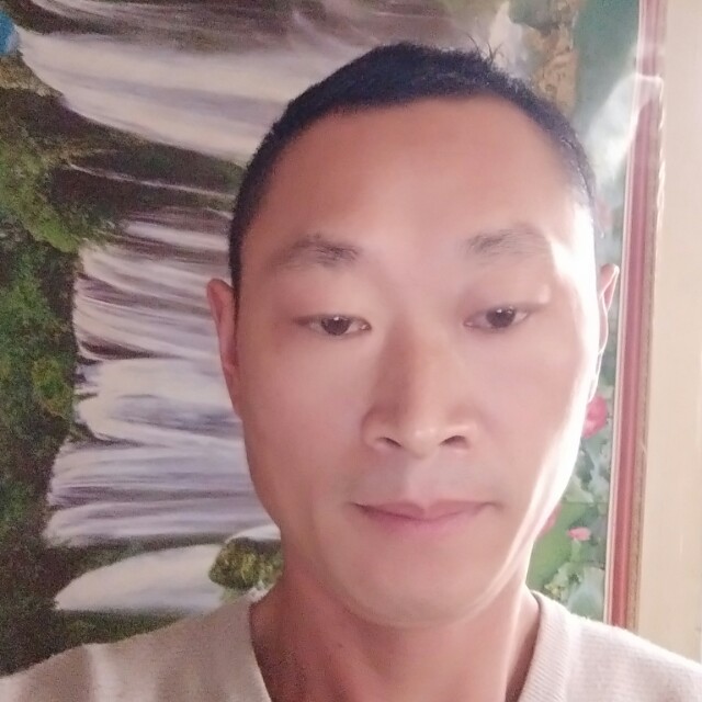 黑猫拾忆热心的照片