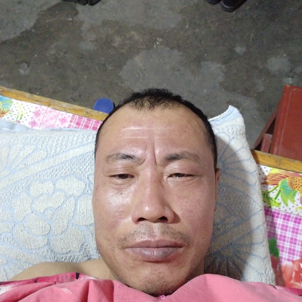 树叶打精明的照片