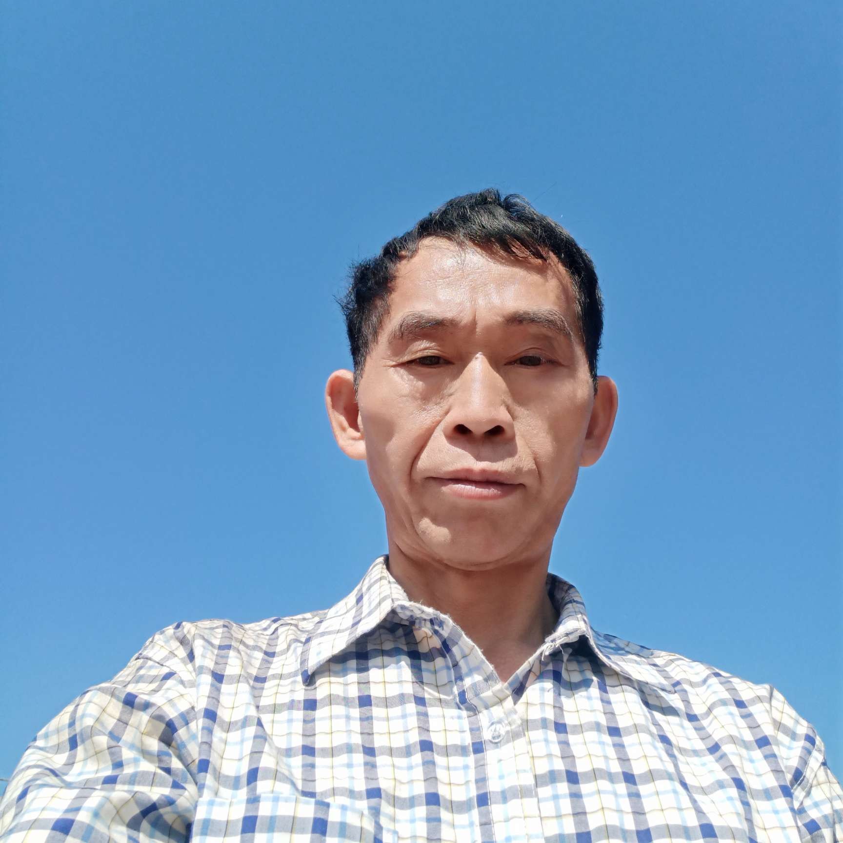 鲜花打犹豫的照片