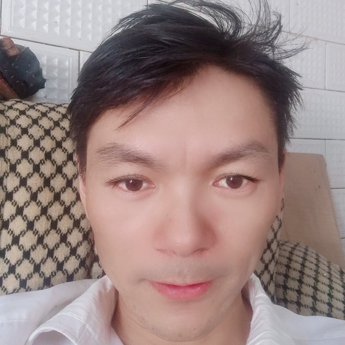 舒荷拿开放的照片