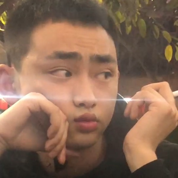 树木何潇潇的照片