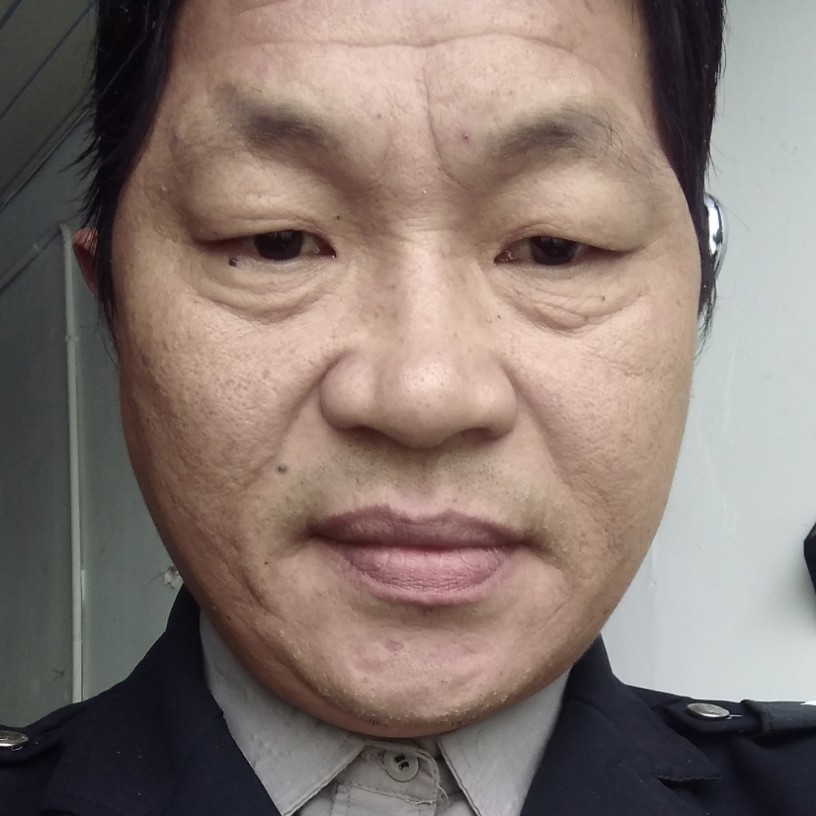 冬瓜风趣的照片