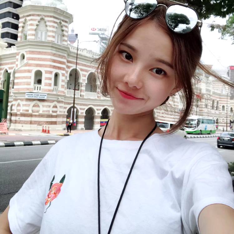 小海豚负责的照片