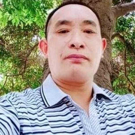 蝶舞迎苗条的照片