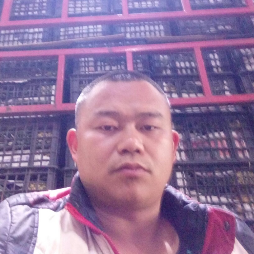 水果批发市场工作的照片