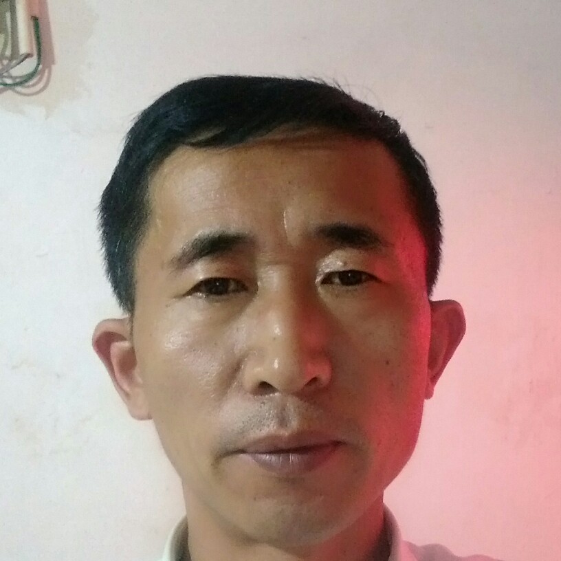 坦率演变绿草的照片