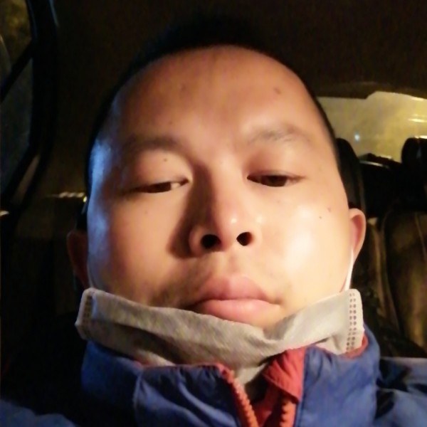 离歌停止机智的照片