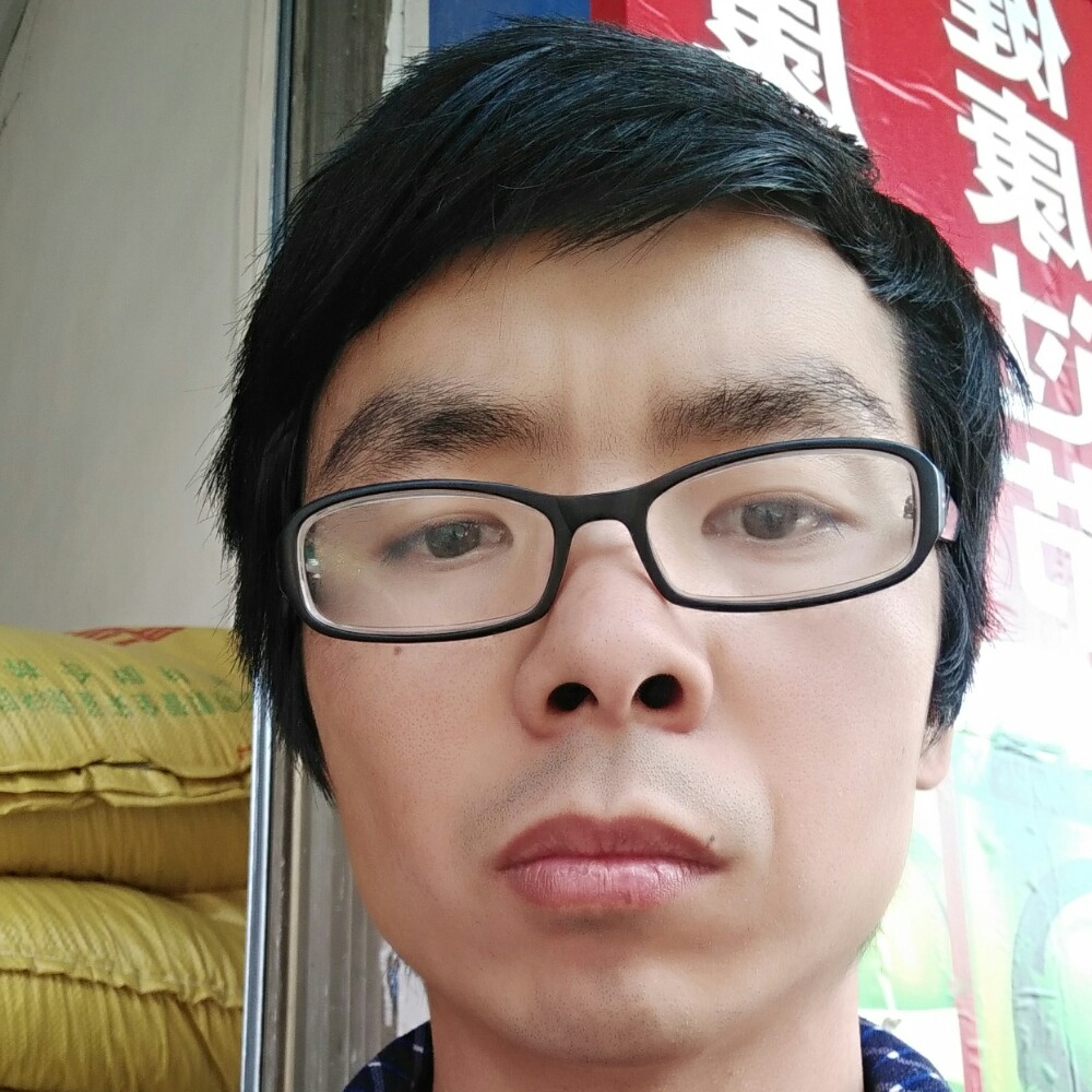 自由之战的照片