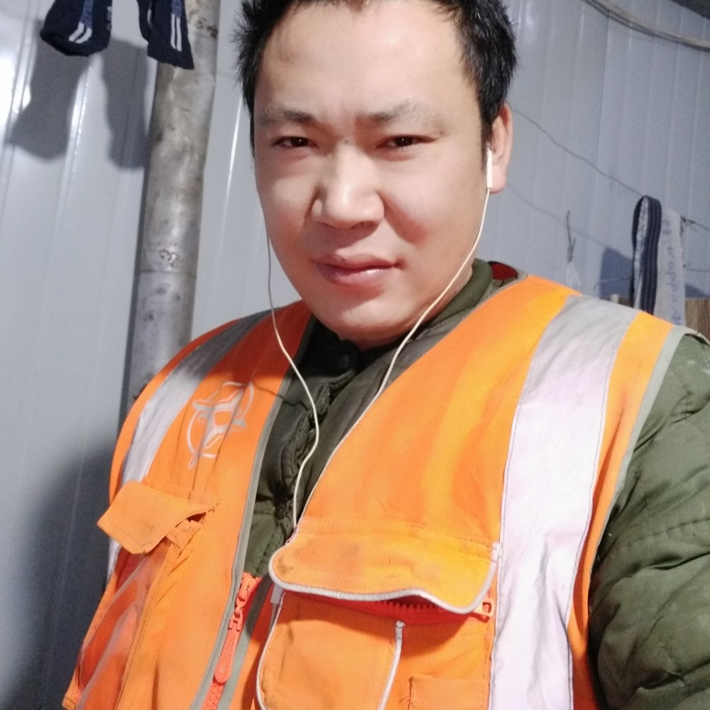 金鱼坚定的照片