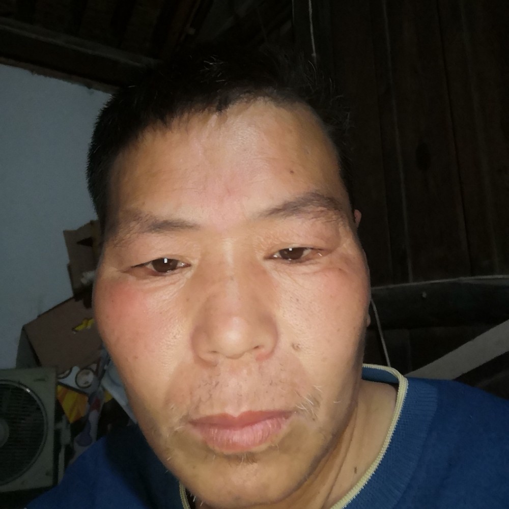 优美金毛的照片