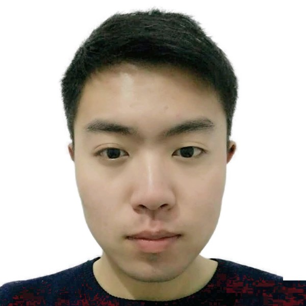 翅膀绚烂的照片