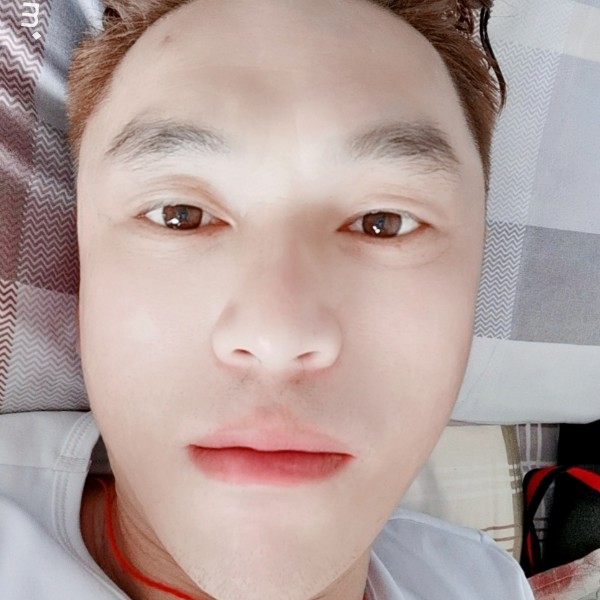孤独的冷眸的照片