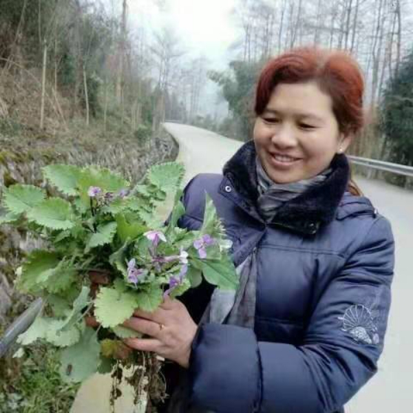 云儿芝的照片