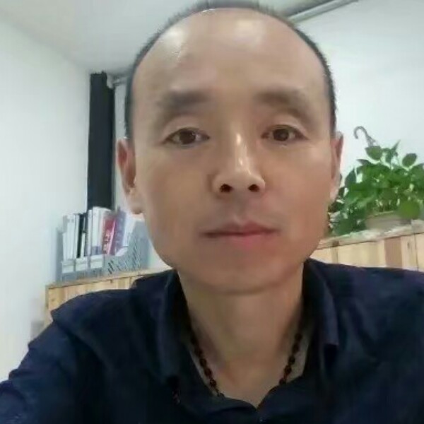 务实浅吻白猫的照片