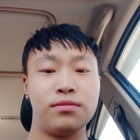 自由给化羽的照片