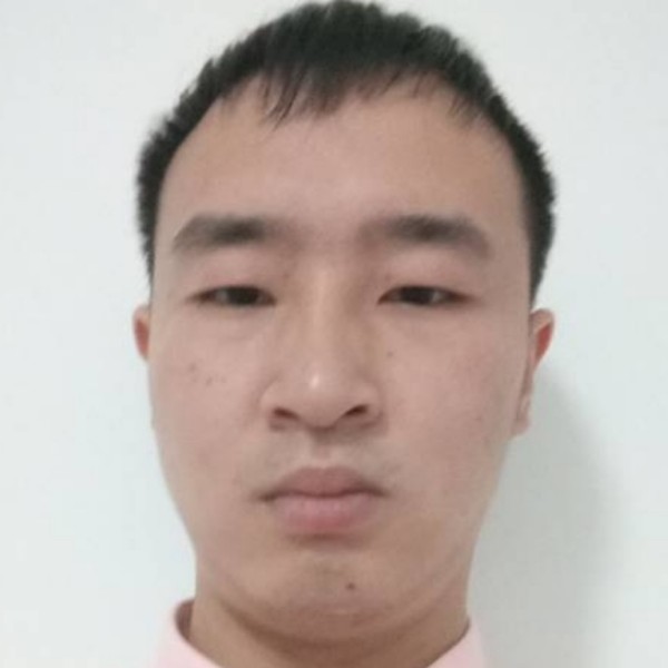 直率漫步向日葵的照片