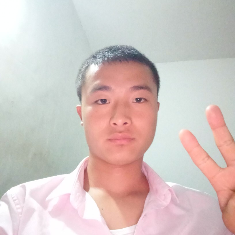 你的太阳。的照片