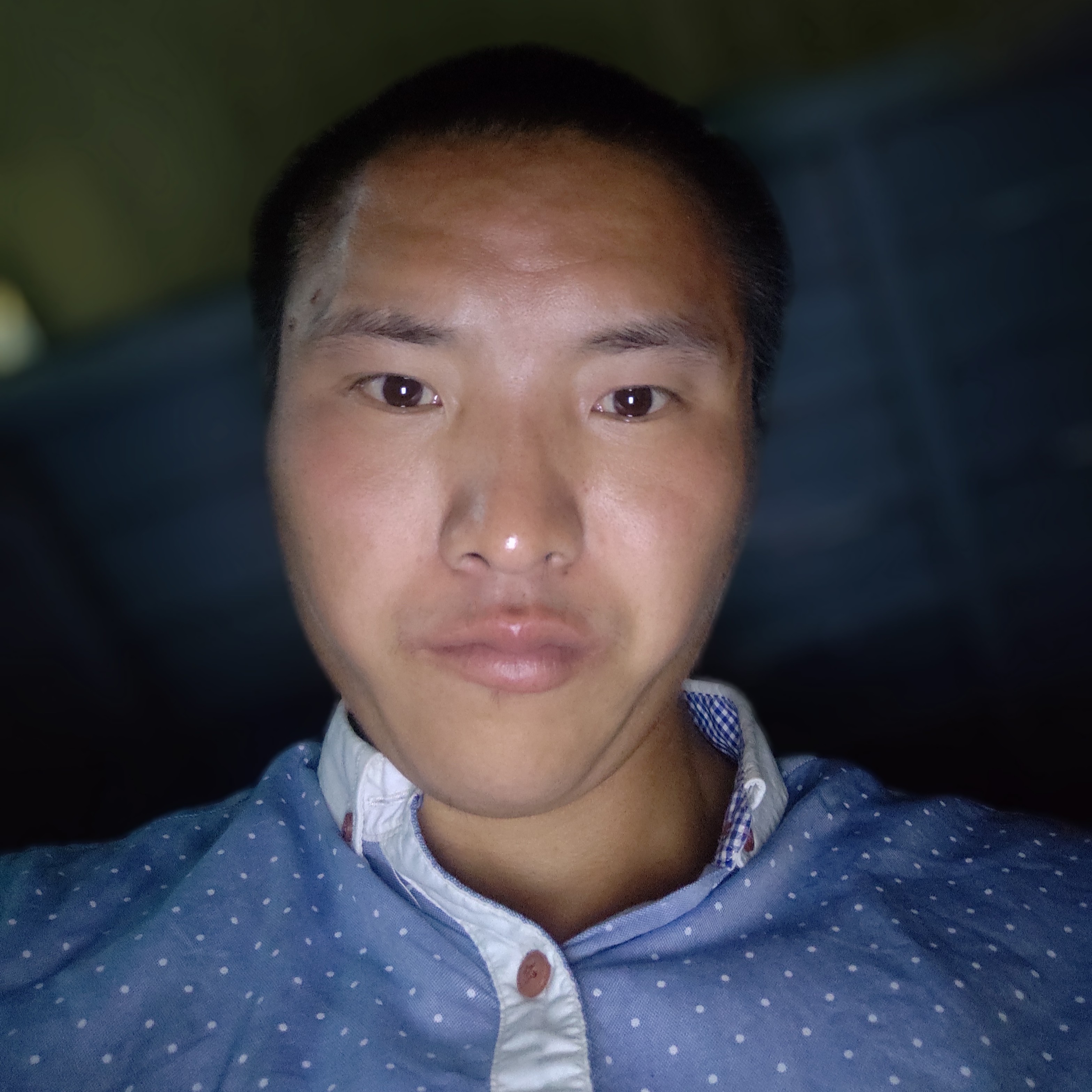 冷艳爱恋冷月的照片