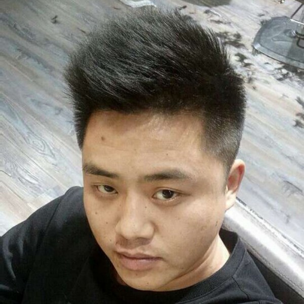 零碎回眸小天鹅的照片