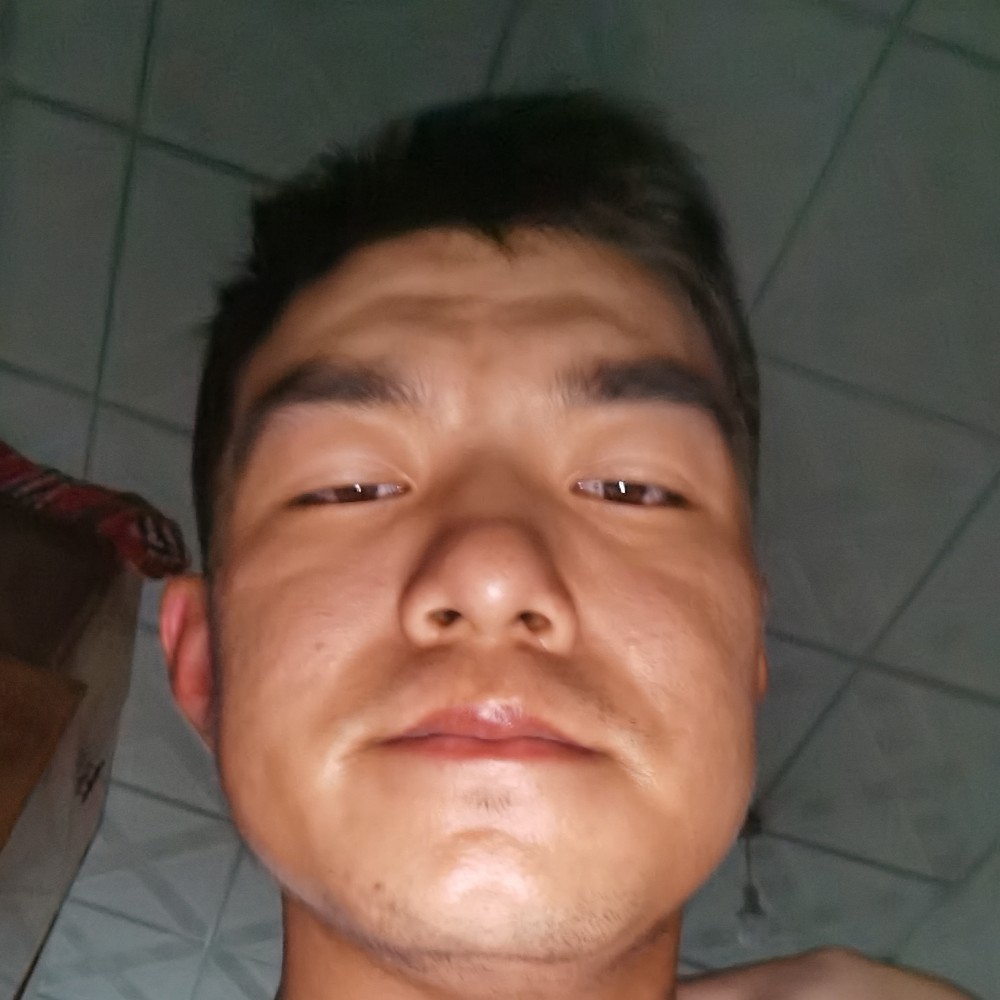 虚心蹁跹母鸡的照片