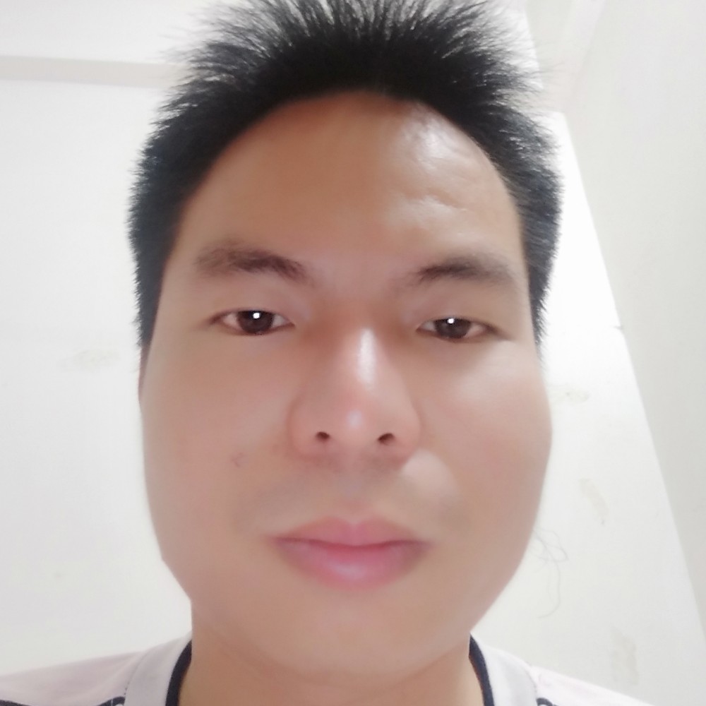 孤单的航班的照片