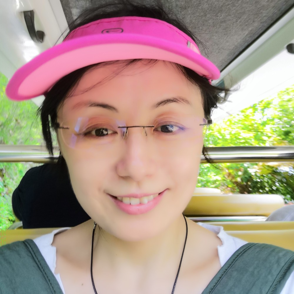 芒果花开的季节的照片