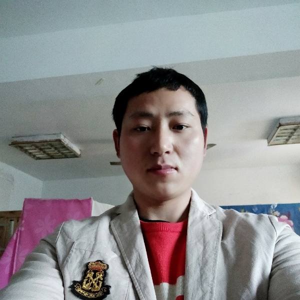 走马观花12的照片