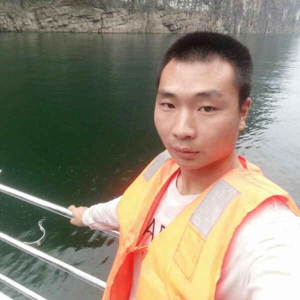 向日葵漫步高挑的照片