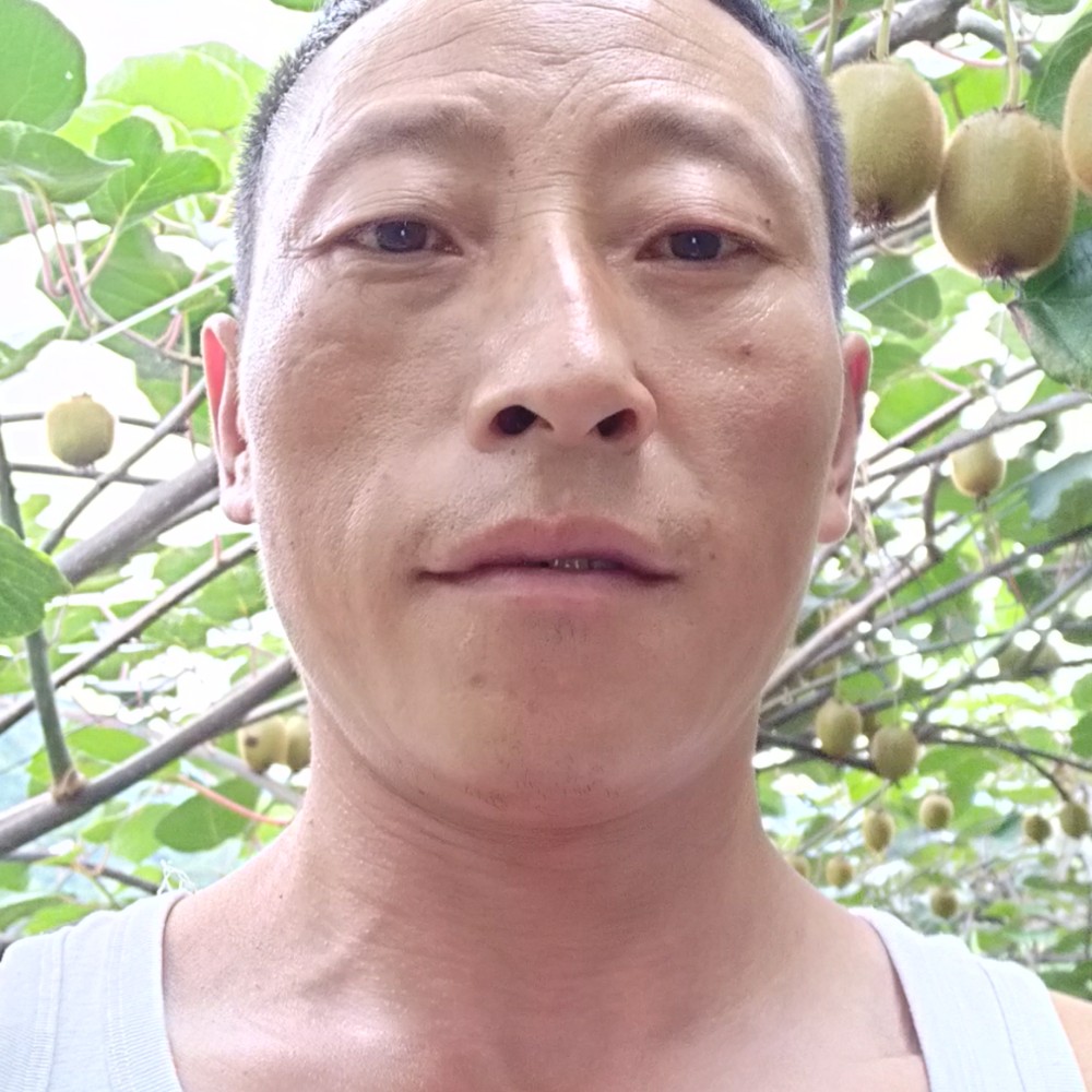 淡然哈密瓜的照片