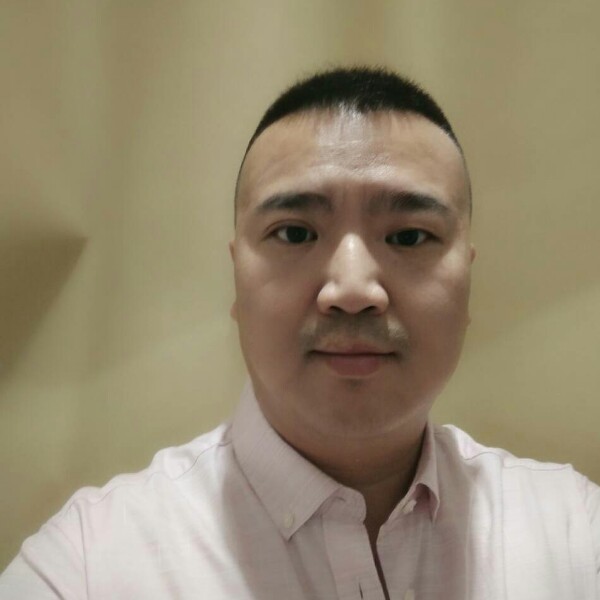 落寞向大雁的照片