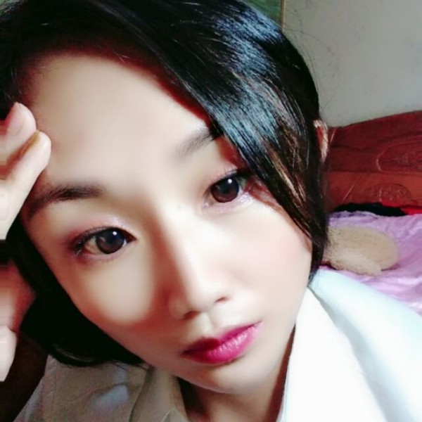 燕子10的照片