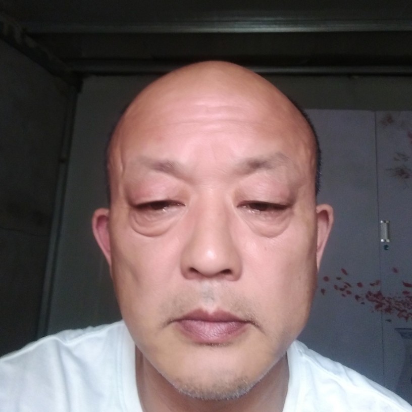寻绿人的照片
