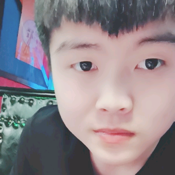 放飞的候鸟的照片
