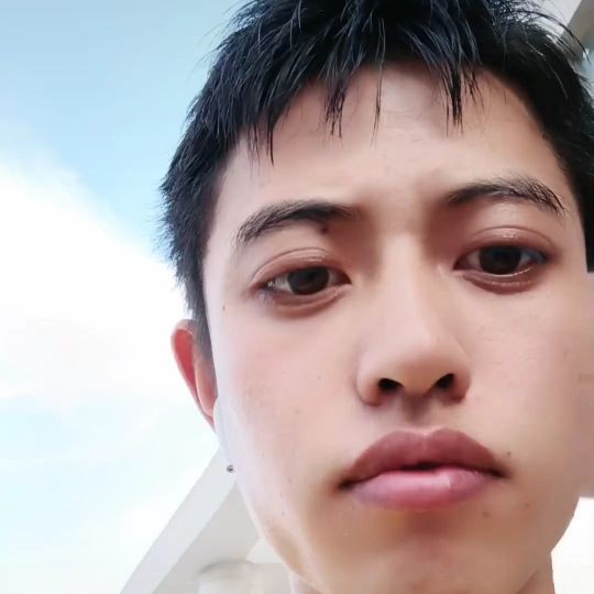 拉长回首小鸭子的照片