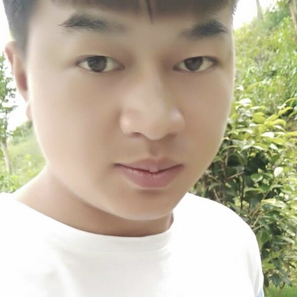 难过绿茶的照片