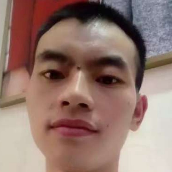 小鸽子美满的照片
