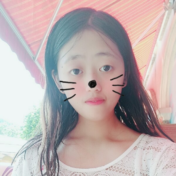 淡然刺猬的照片