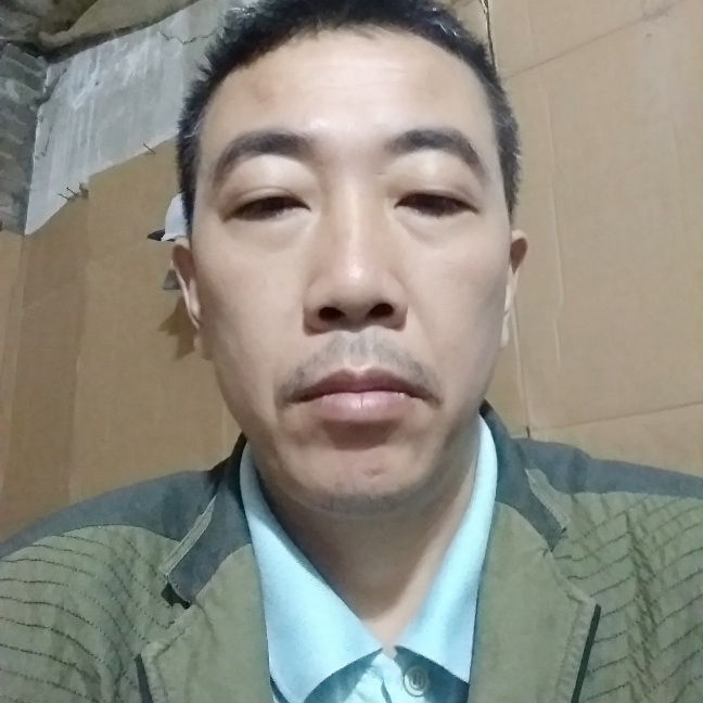 3254768的照片