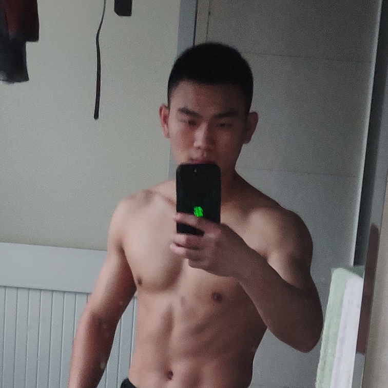 龙之骑士的照片