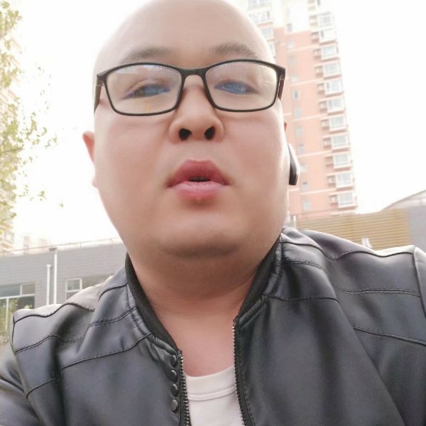 大雁翩飞的照片
