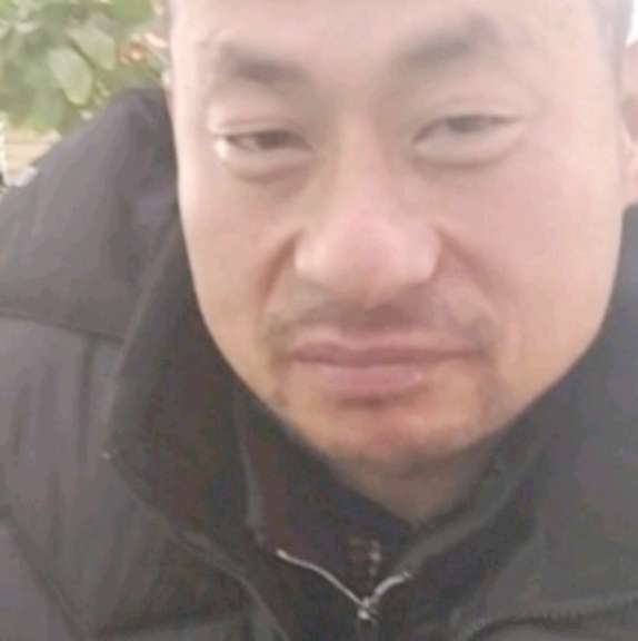 申克洪的照片