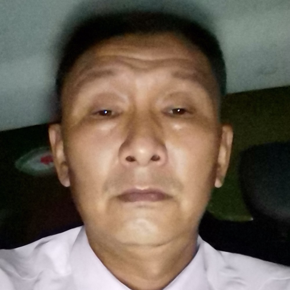 小猫咪蹁跹洁净的照片