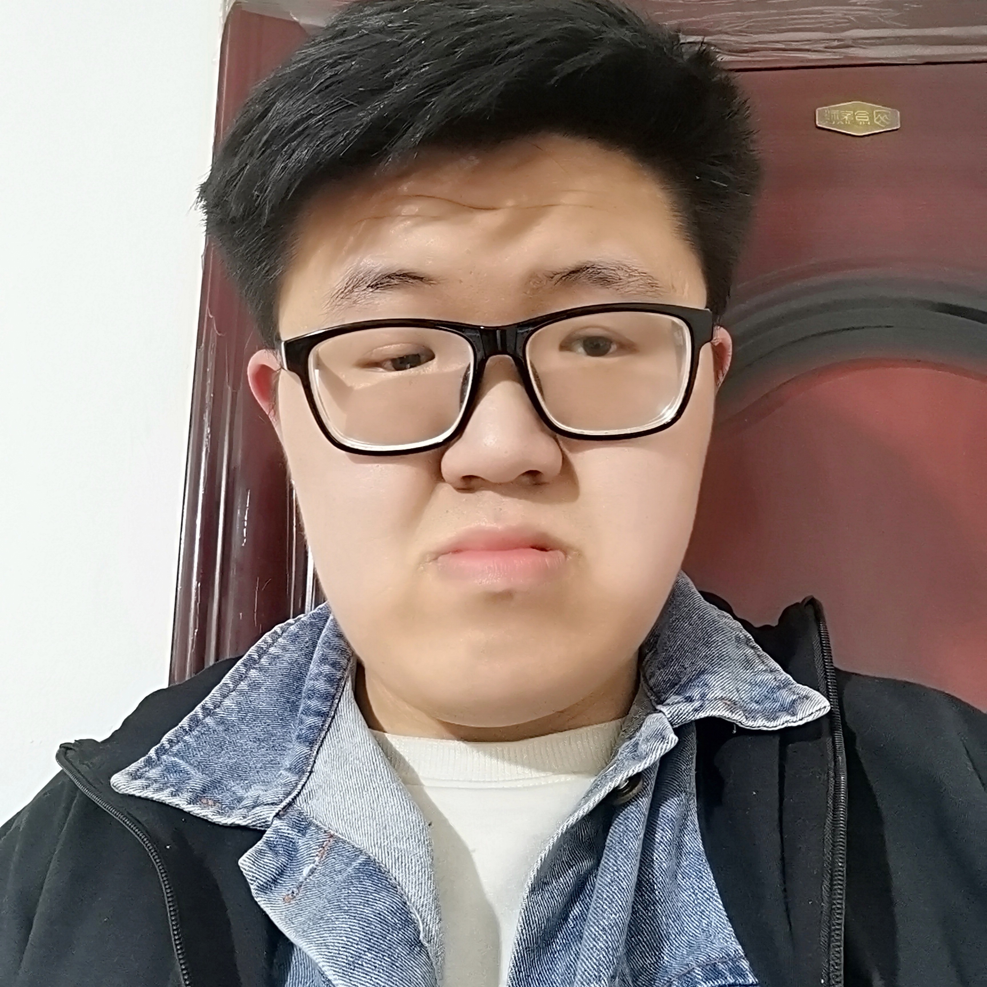 哈密瓜有机灵的照片