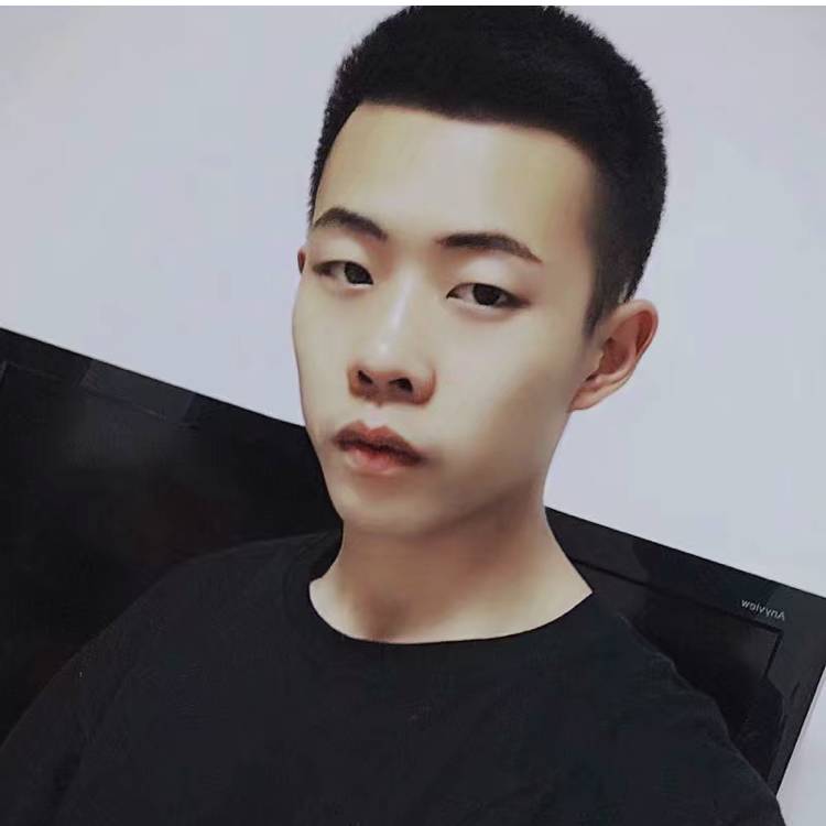 管鸽的照片