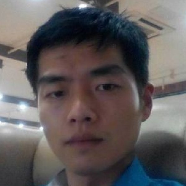 小海豚爱恋平淡的照片