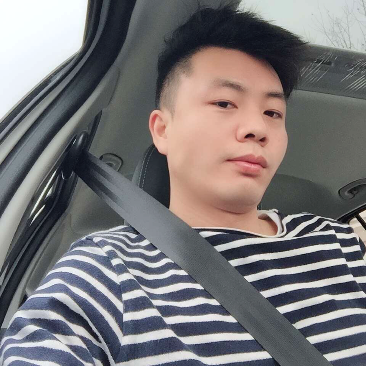 毛毛虫的照片